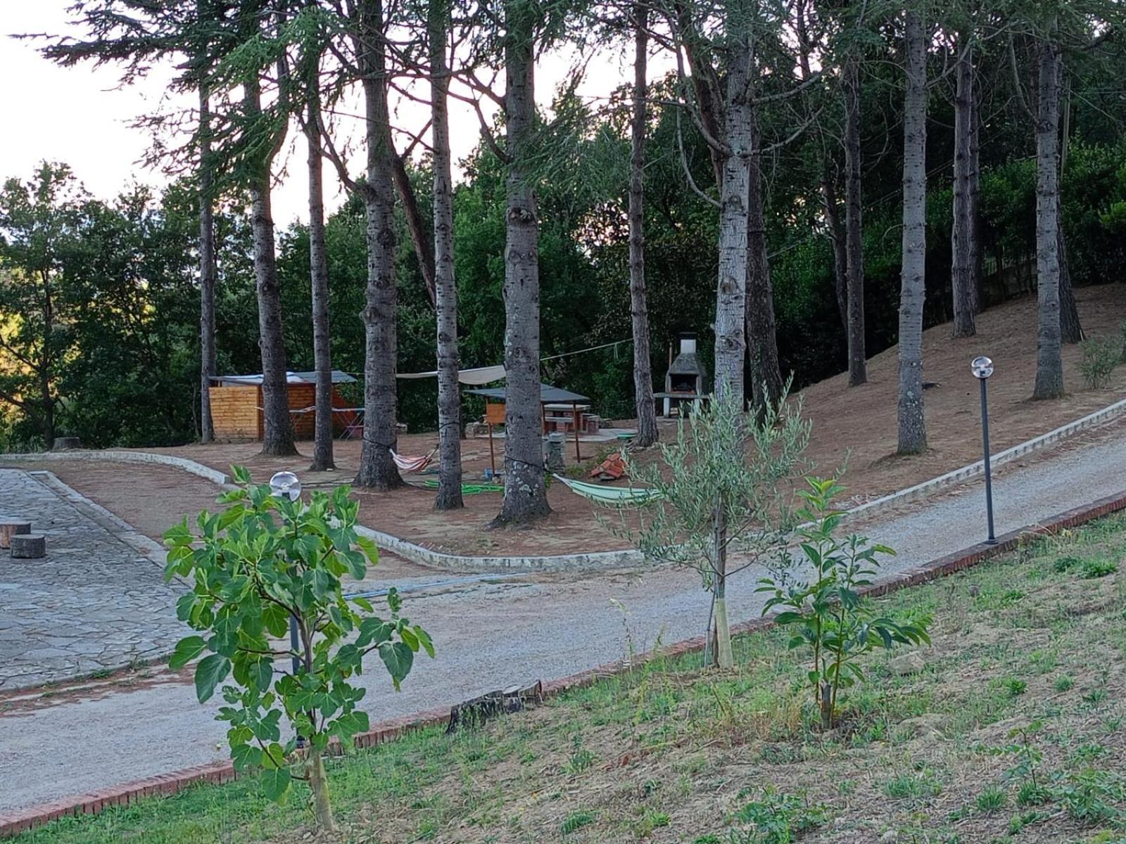 B&B Villa Bianca Sant'Agata  Exterior foto